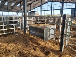 Koncentratų šėrykla, montuojama ant tvoros CALF FEEDER ON BARRIER