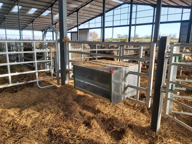 Koncentratų šėrykla, montuojama ant tvoros CALF FEEDER ON BARRIER