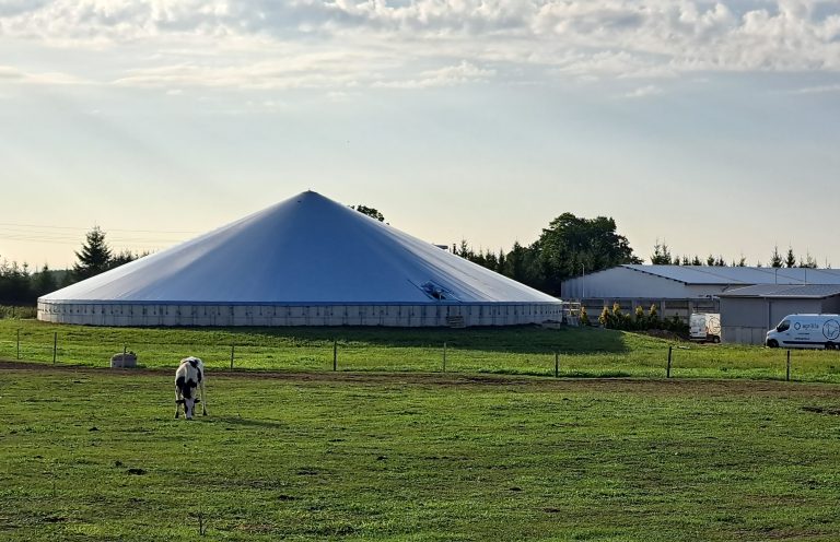 Srutų kaupyklų stogai